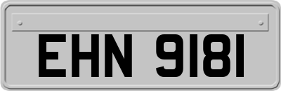 EHN9181