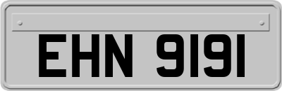 EHN9191