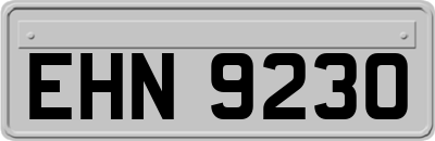 EHN9230