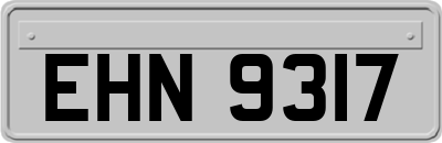 EHN9317