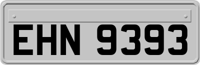 EHN9393