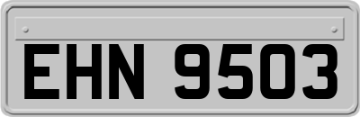 EHN9503