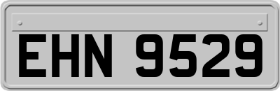 EHN9529