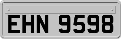 EHN9598