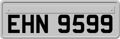 EHN9599