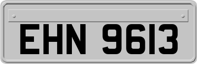 EHN9613