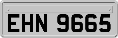 EHN9665