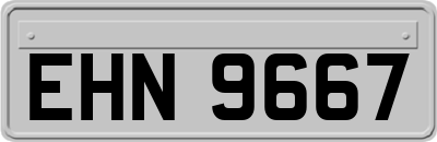 EHN9667