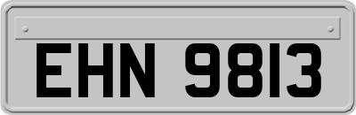 EHN9813