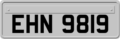 EHN9819