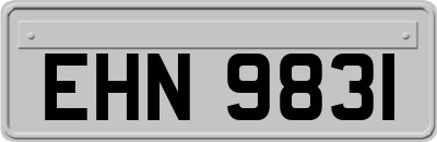 EHN9831