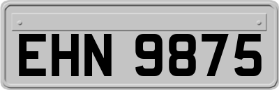 EHN9875