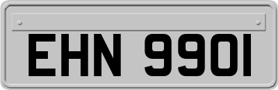 EHN9901