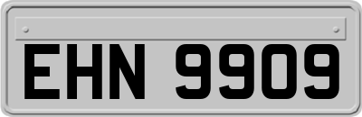 EHN9909