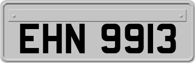 EHN9913