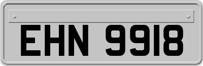 EHN9918