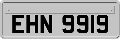 EHN9919