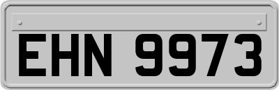 EHN9973