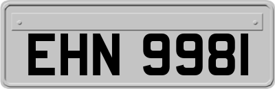 EHN9981