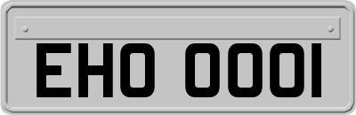 EHO0001