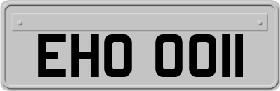 EHO0011