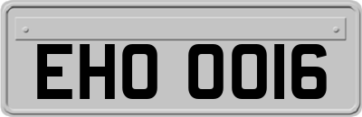 EHO0016