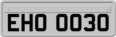 EHO0030