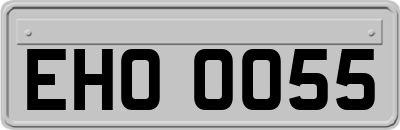 EHO0055