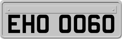 EHO0060