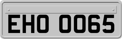 EHO0065