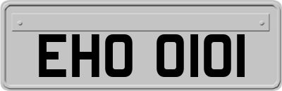 EHO0101
