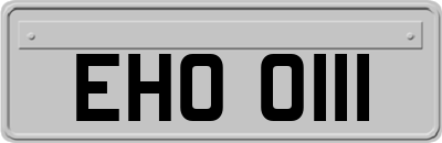 EHO0111