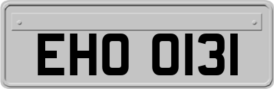 EHO0131