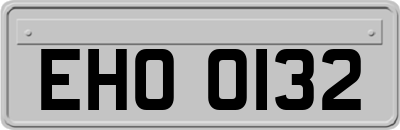 EHO0132