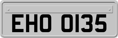 EHO0135