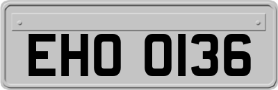 EHO0136