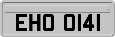 EHO0141