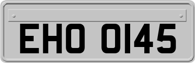 EHO0145