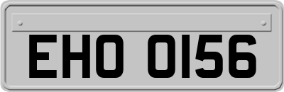 EHO0156
