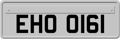 EHO0161