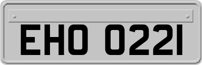 EHO0221