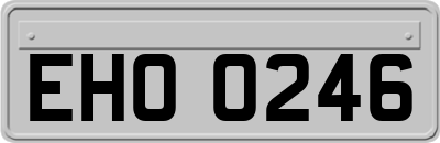 EHO0246