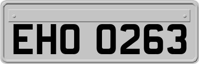 EHO0263