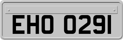 EHO0291