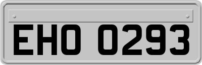EHO0293