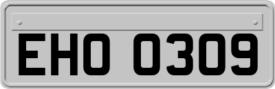 EHO0309