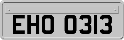 EHO0313