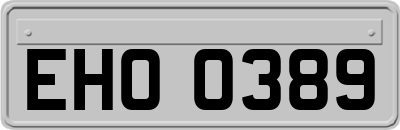 EHO0389