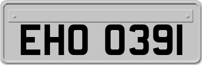 EHO0391