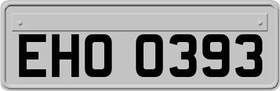 EHO0393
